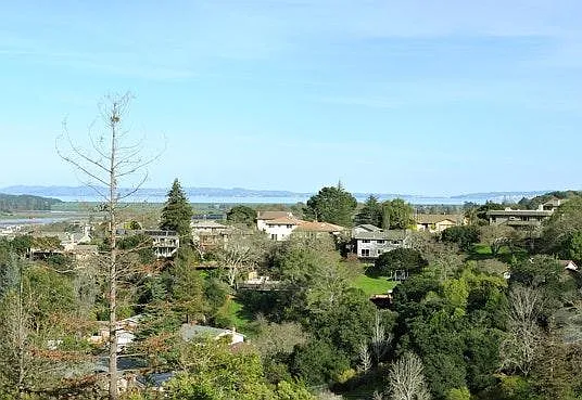 View from rear of house