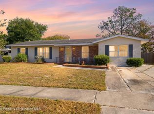 6229 Dalton St, Spring Hill, FL 34606