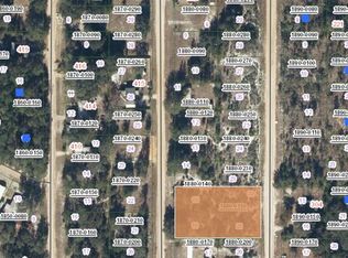 0 Annette Ave #15, Interlachen, FL 32148