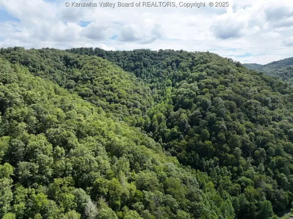 0 Trap Fork Rd, Iaeger, WV 24844