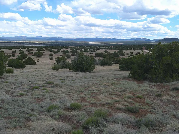 24 County Road 8009, Concho, AZ 85924