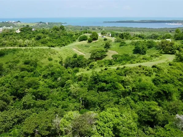 Carr 307, Cabo Rojo, PR 00623