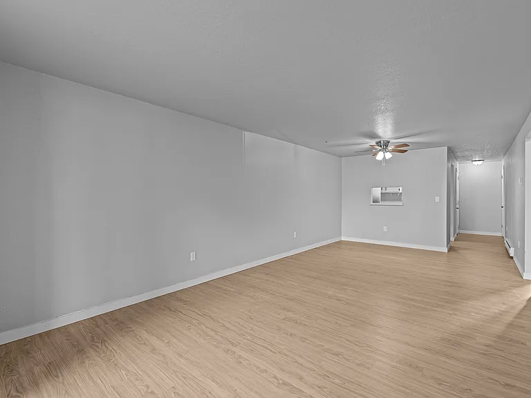 Shannon South — Photo 15