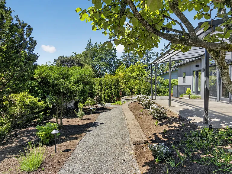 Backyard Trail