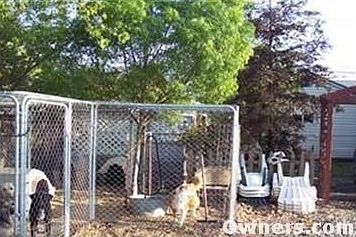 nice dog kennel w/tree