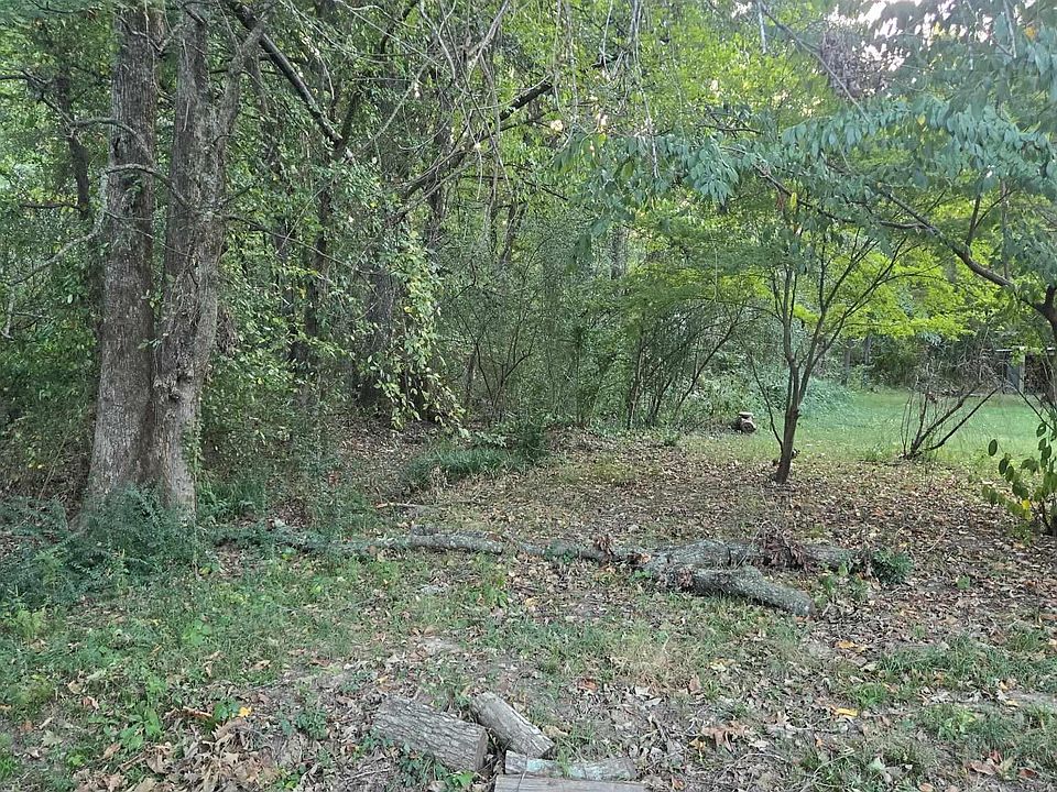 2nd image of 0 Henry Ln