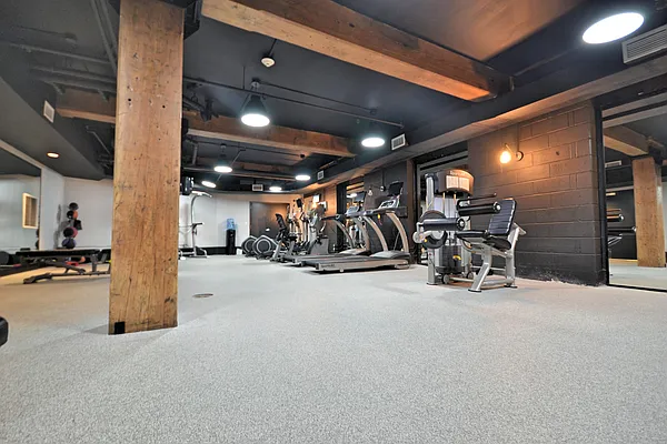 Rented by Bold New York | media 71