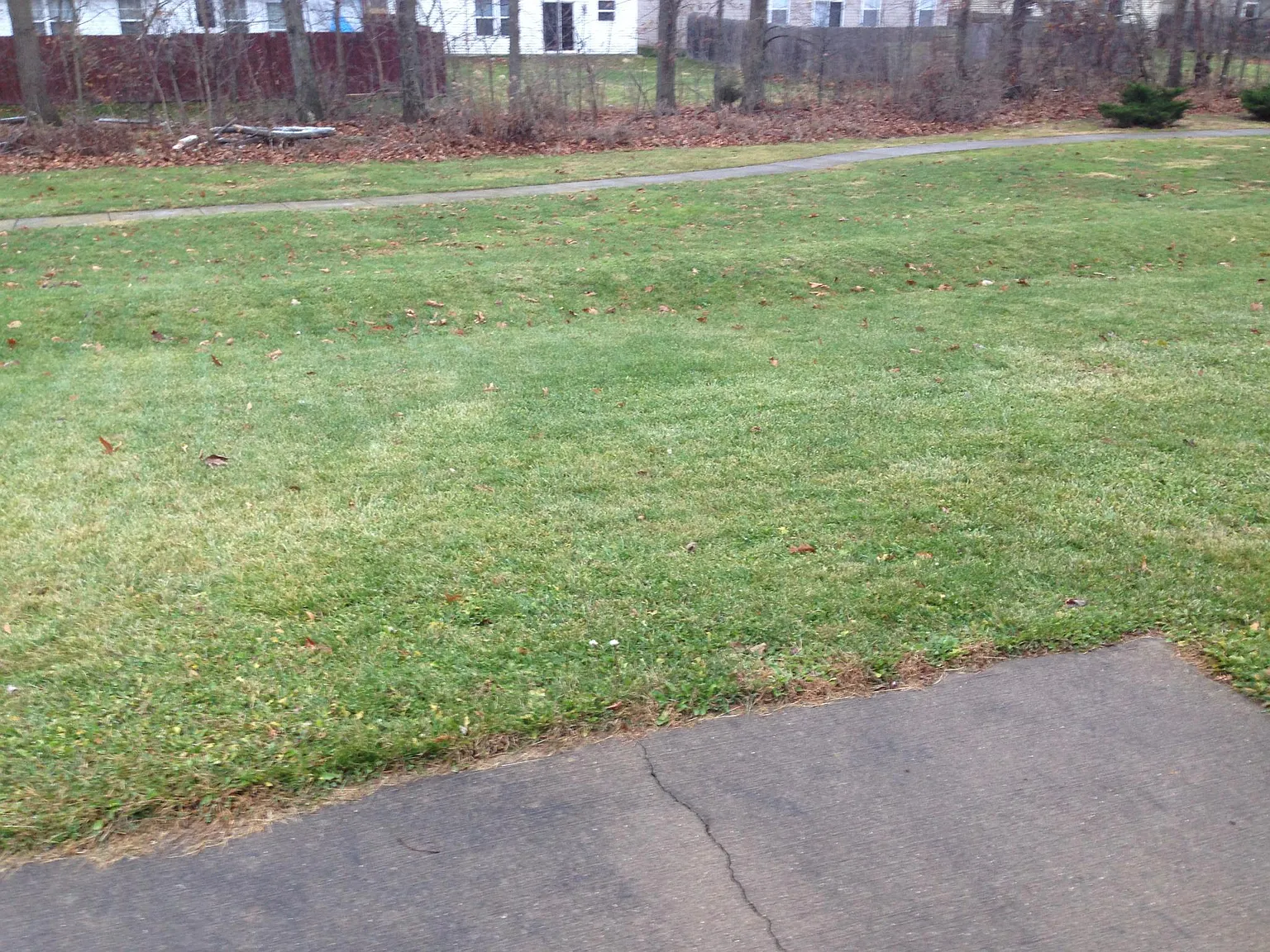 3 bed, 1038 sqft, $1,650 — Photo 3