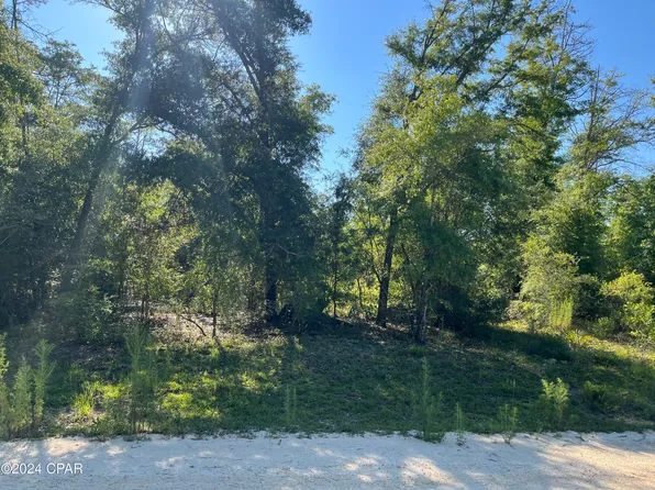 0 Genesso Ave, Alford, FL 32420