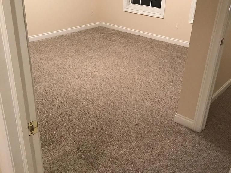 Master Bedroom with Walk-In Closet (on the right)
