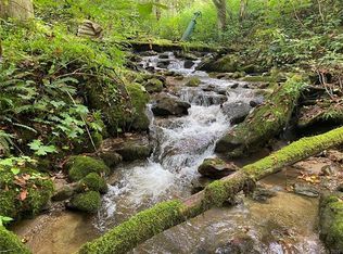 887 Rock House Rd, Hot Springs, NC 28743