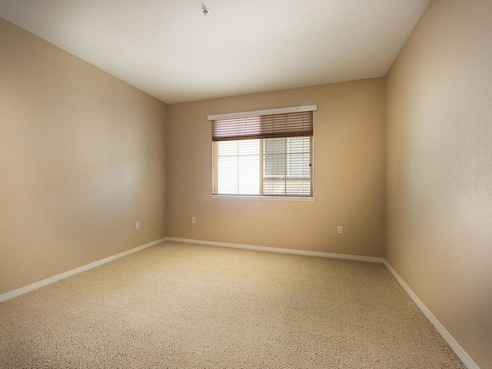 Carpet in the bedroom, walk in closet 