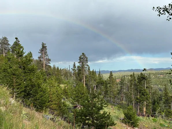 540 Elkridge Rd, Red Feather Lakes, CO 80545