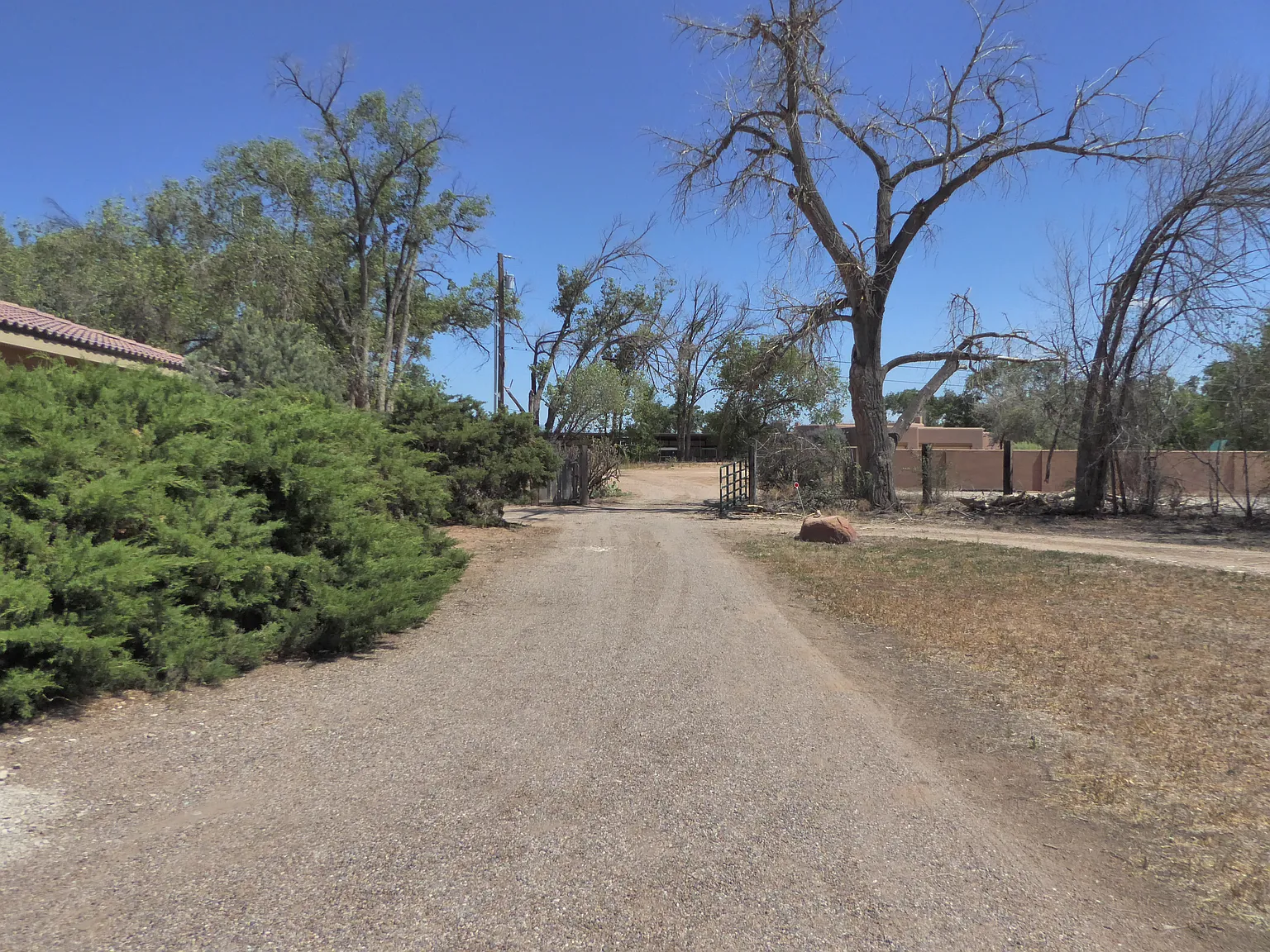1 bed, 600 sqft, $1,300 — Photo 2