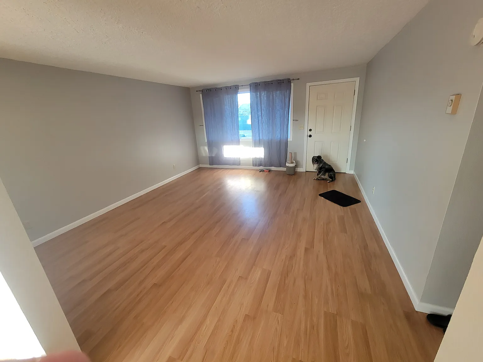 2 bed, 920 sqft, $2,200 — Photo 4