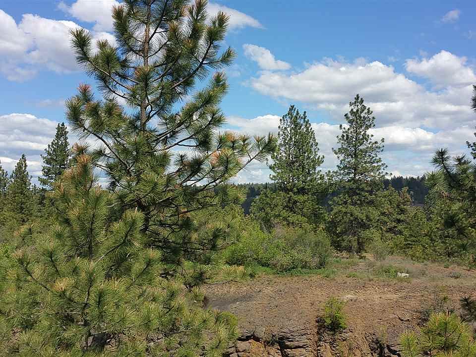 2nd image of 1920 S Canyon Woods Ln