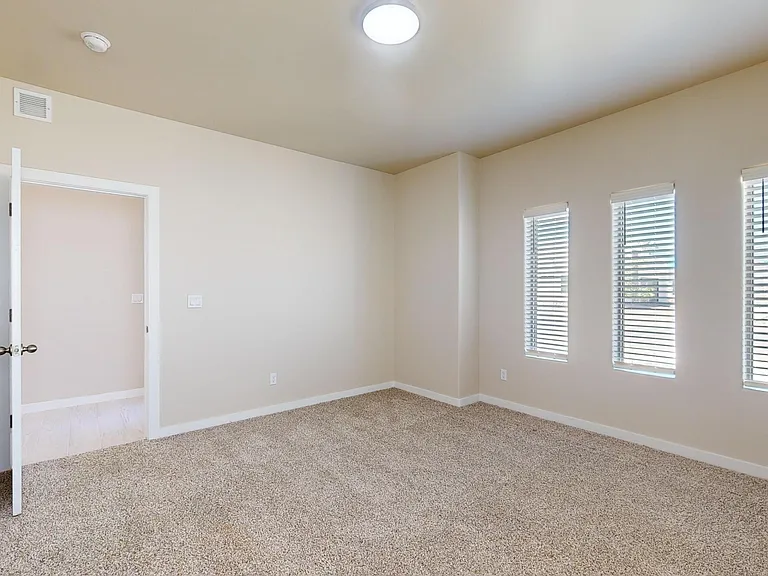 11118 Blue Eyed Grass St — Photo 21