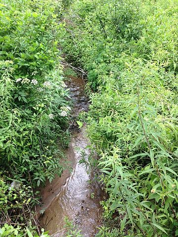 2nd image of 20 Acres Piney Grove Rd