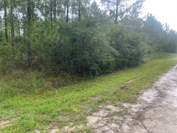 TBD OTTER DRIVE LOT 44, WEBSTER, FL 33597