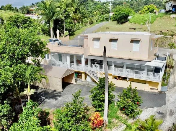 929 Lirios #4, Juncos, PR 00777