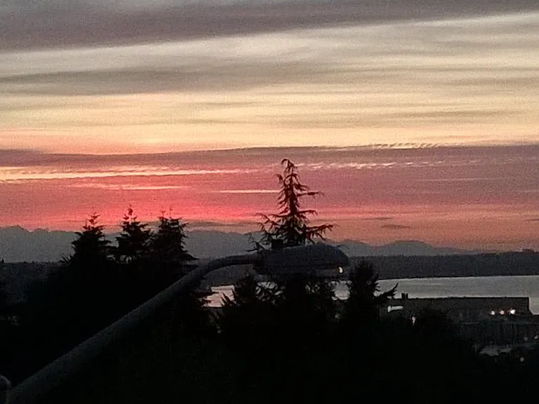 Evening View