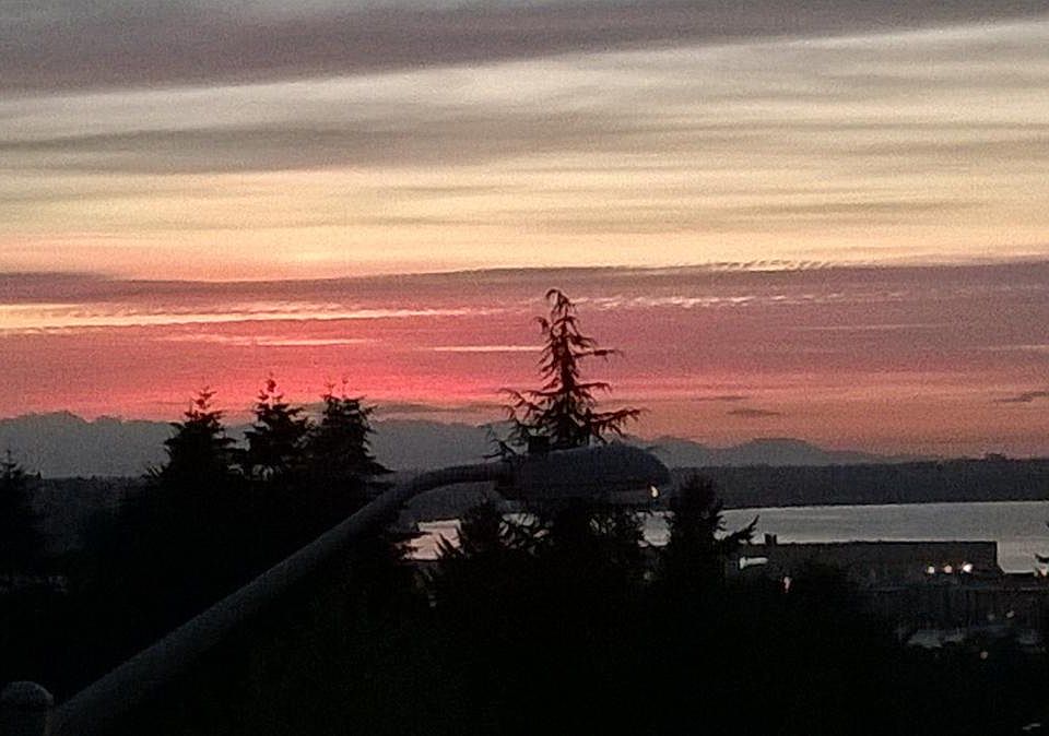 Evening View