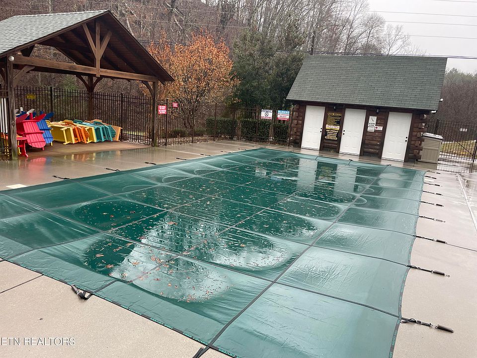 2nd image of Wedge Tailed Ln