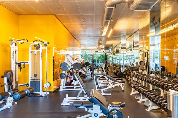 Rented by Platinum Properties | media 20