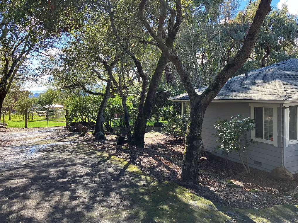 3 bed, 1650 sqft, $3,850 — Photo 2