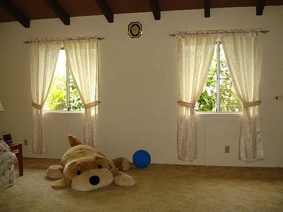 Huge family room