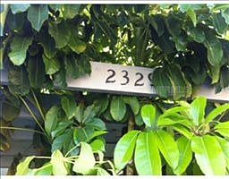 2nd image of 2329 Antilles Dr