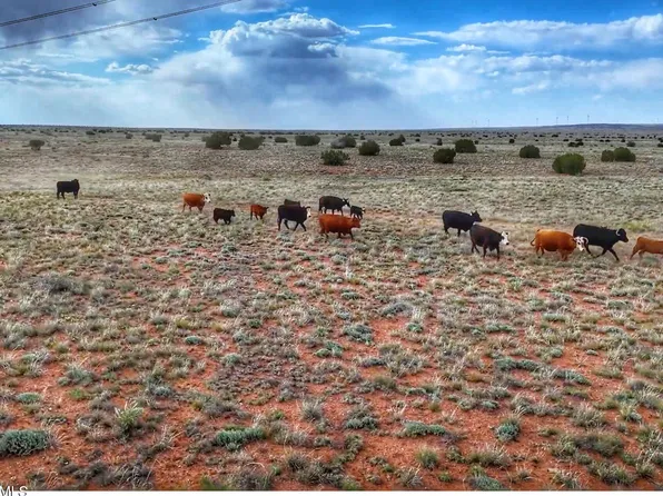 100 S Duck Lake Road #-, Heber, AZ 85928