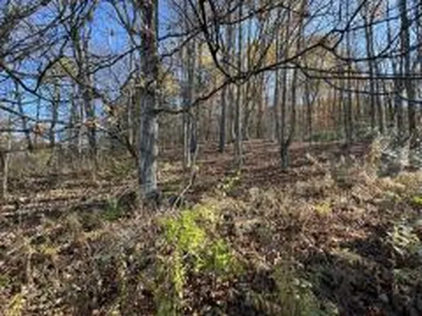 2999 State Route 607, Austin, PA 16720