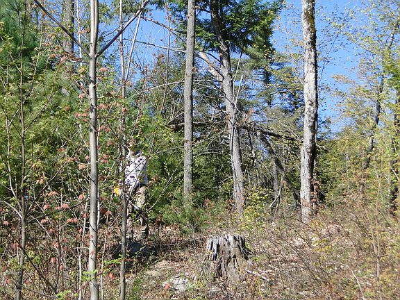 2nd image of 8 McPhillips Pine Ln