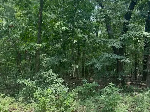 000 Private Road Cc-200, Alton, MO 65606