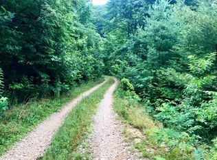 414 Bluegrass Rd, Roan Mountain, TN 37687