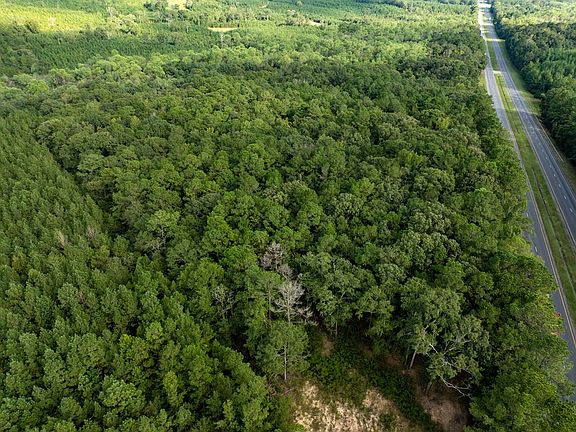 4th image of 265/ACRE S Highway 231 N