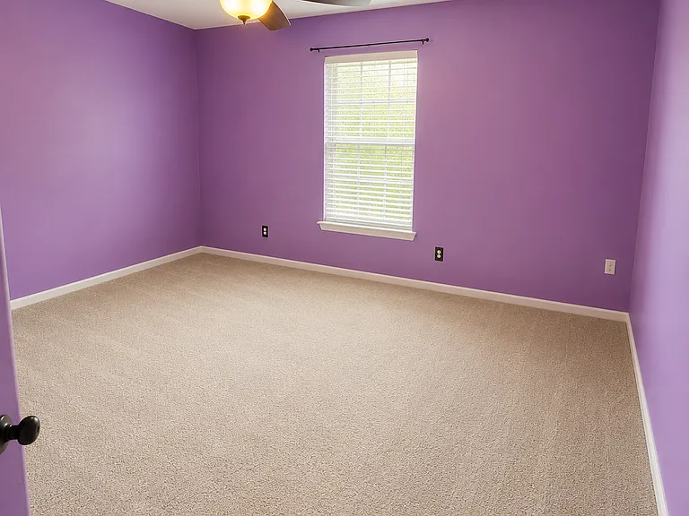 234 Sepia Ct — Photo 13