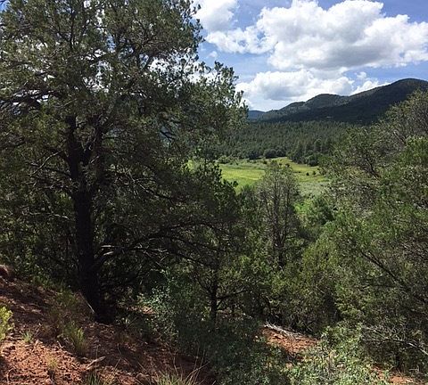5th image of Camino Alto