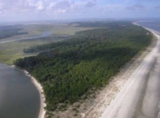 0 Hird Is, Darien, GA 31305