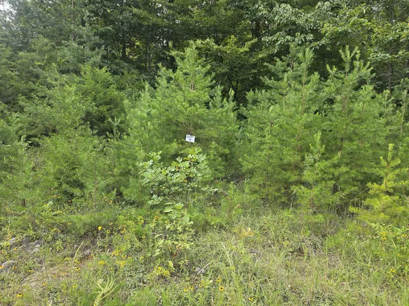 5 Buck Creek Cir, Somerset, KY 42501