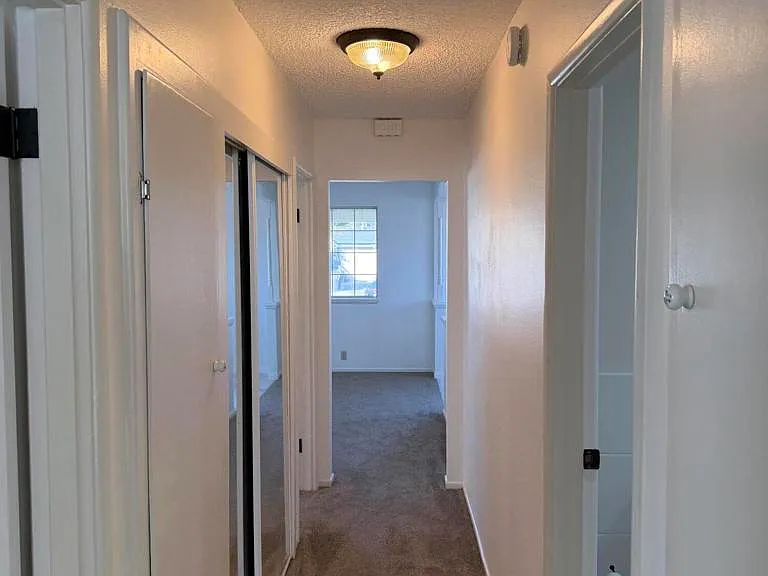 826 Camelia Dr — Photo 11