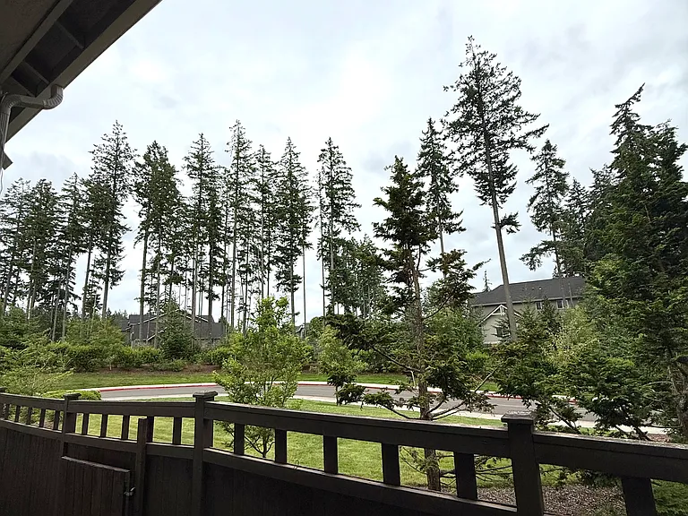 11512 Arrowhead Dr — Photo 29