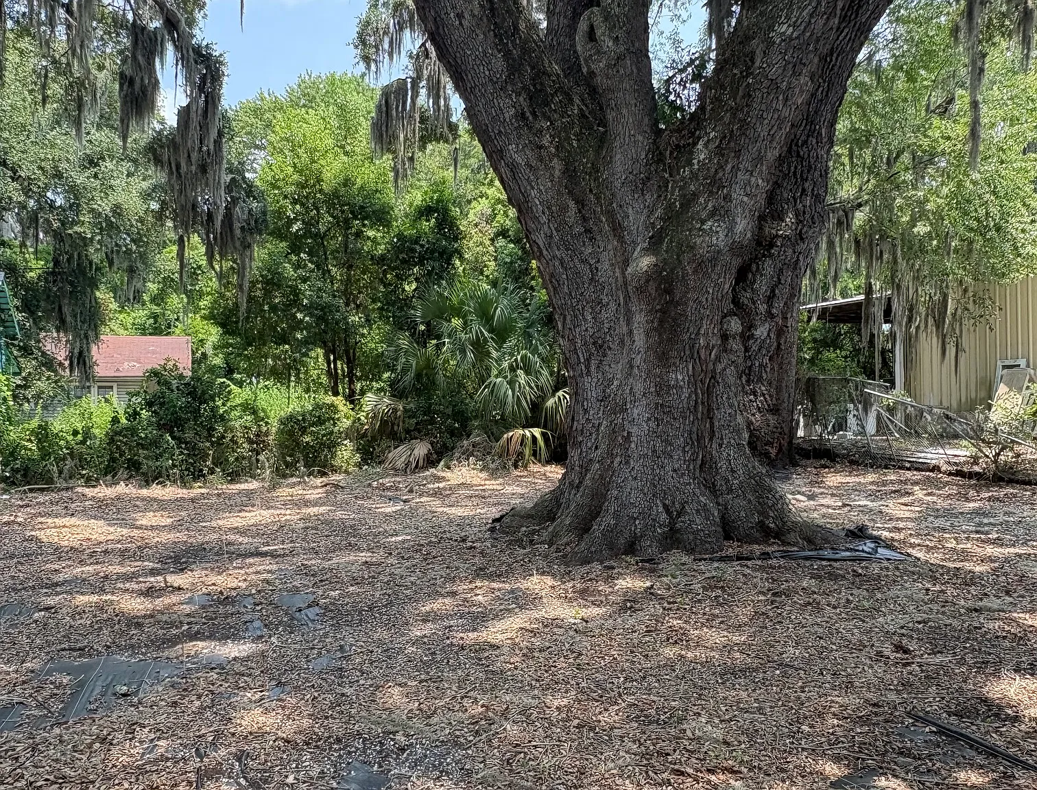 1 bed/ 1 bath single family home - landscaping included! — Photo 2