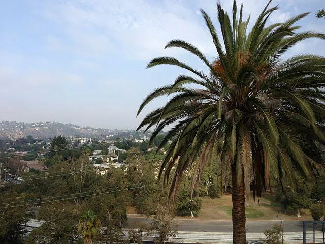 Hillside Living at its best