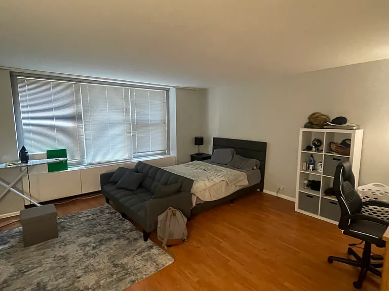 777 N Michigan Ave #904 — Photo 8