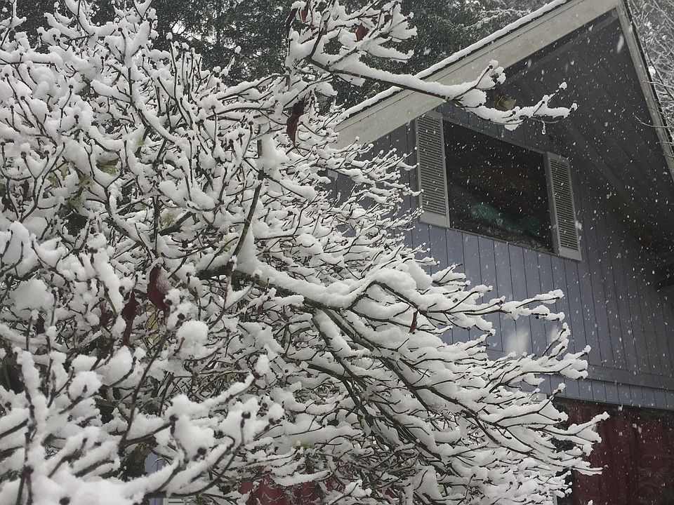 Winter Chalet ??