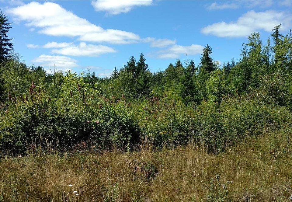 2nd image of 425 Brim Rd