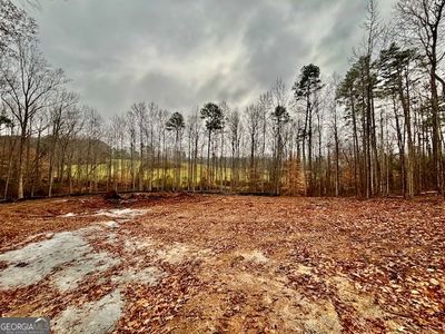 0 Rue De Cason May, Carnesville, GA, 30521