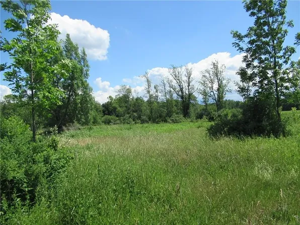 8331 Slusser Rd, Corfu, NY 14036